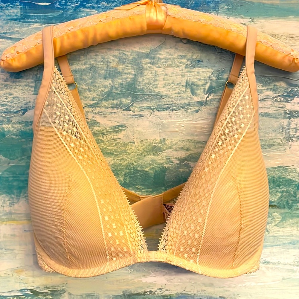 Nude lacy VS “Incredible plunge”